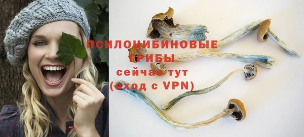 PSILOCYBIN Абинск