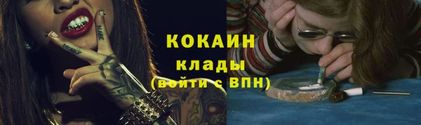 шишки Елабуга