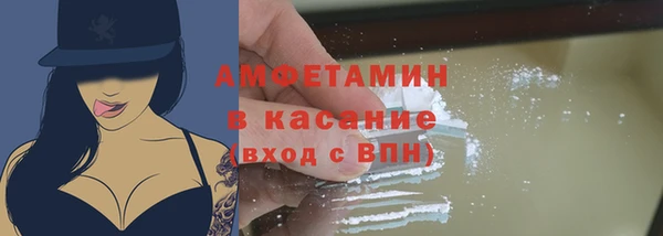 прущие грибы Дмитриев