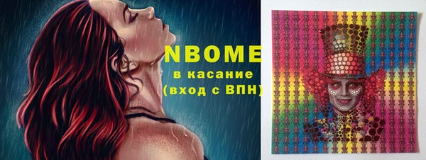 мдпв Ельня
